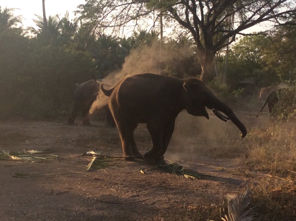 SuttonEd's tweet image. Singapore to Bangkok done! Getting into Bangkok is crazy! #cyclingtheworld #wateraid