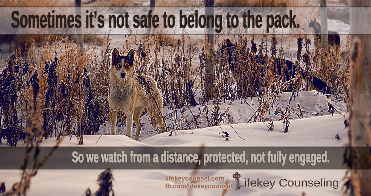 LifekeyCounsel's tweet photo. https://t.co/ayjeLf0XVv