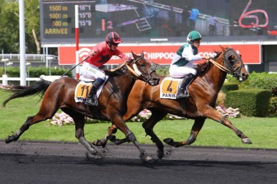 v1v1985's tweet image. Jour 5 Abonnement Gratuit qui vous fait gagner 500€/mois Minimum --&amp;gt;
commentgagneraupmu.fr/143-2/