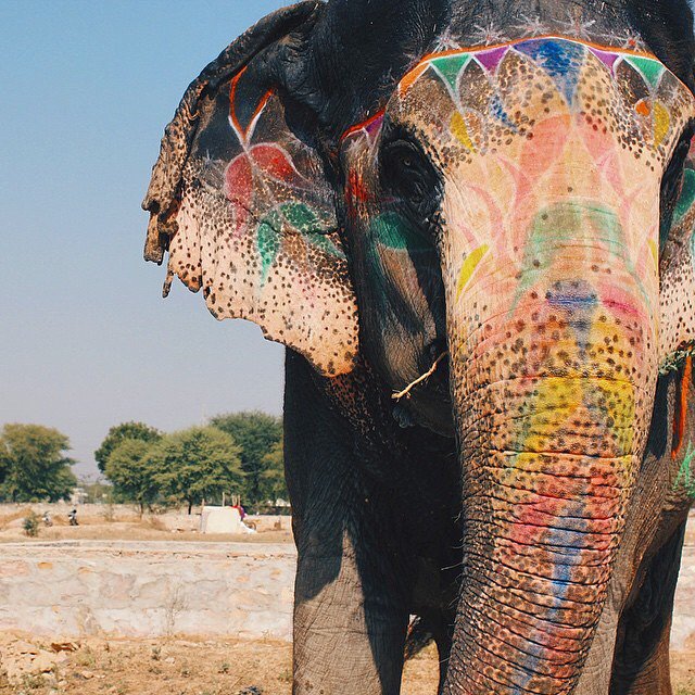 mrTRAVEL2DAY's tweet image. 