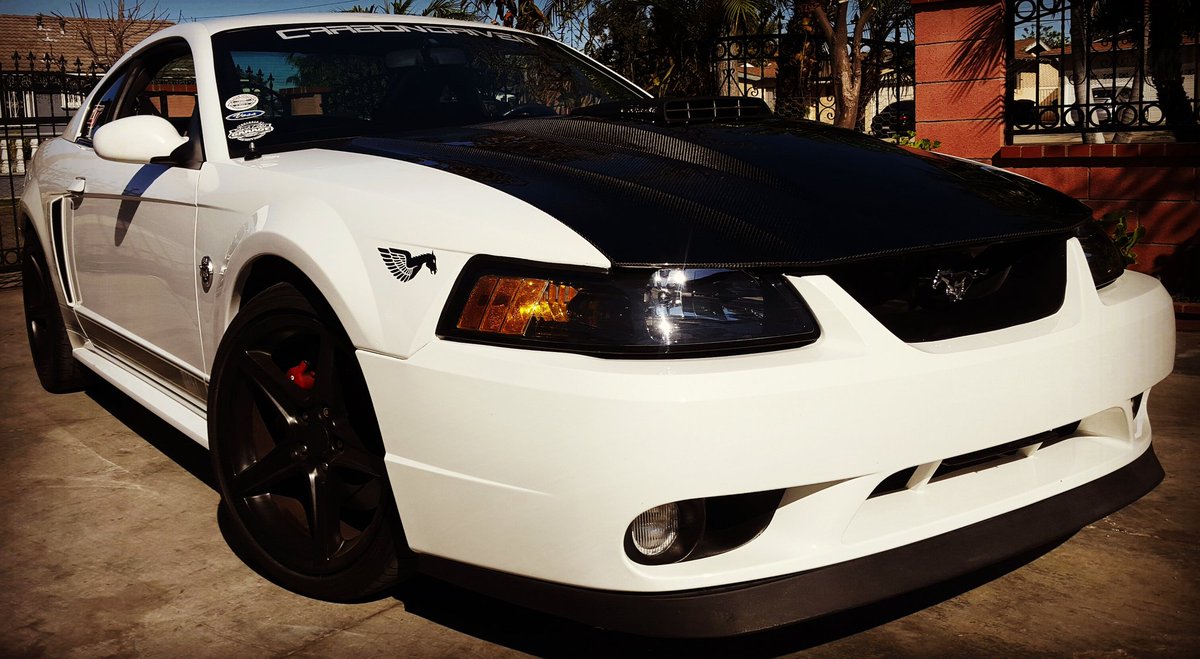 #becausemustang <a href="/BecauseMustang/">Because Mustang</a>