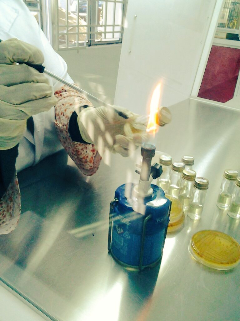 iamnuraddin's tweet photo. Bermalasan utk culture microbe. 
#MICAssay https://t.co/xxOpZcUxav