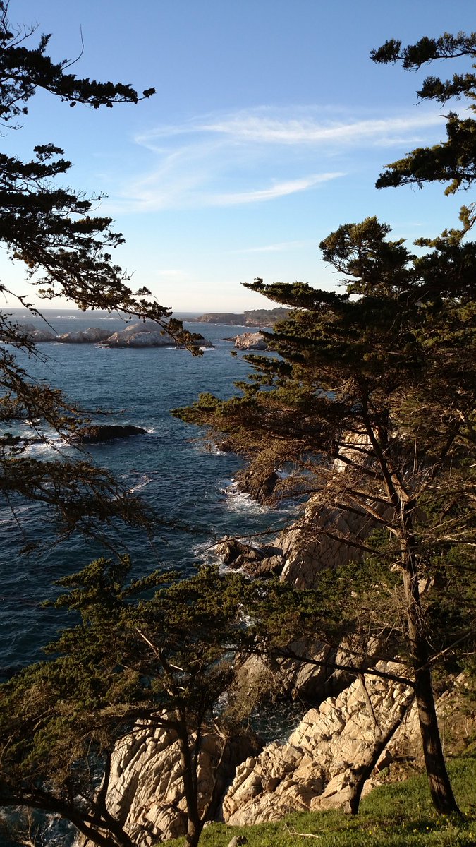 t_jh2009's tweet photo. Traffic was backed up on the #PCH south of #PtLobos heading towards #Carmel so I pulled over & took some photos. 😀 https://t.co/fnw96bZDsH