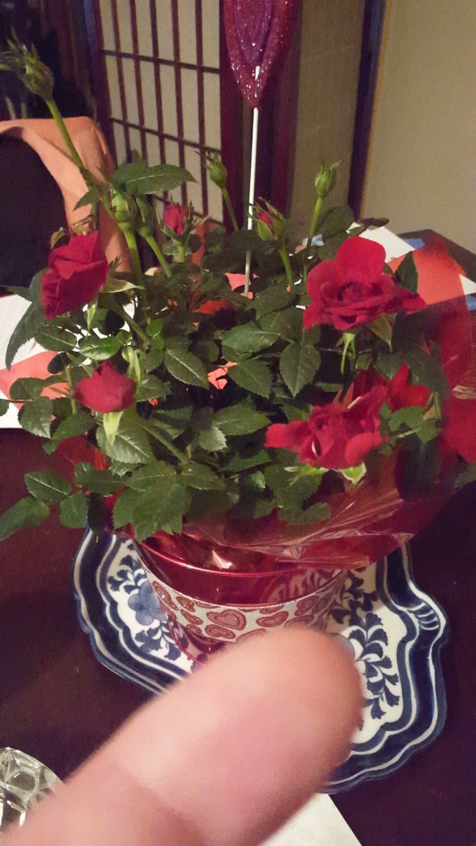 I got flowers for Valentines Day