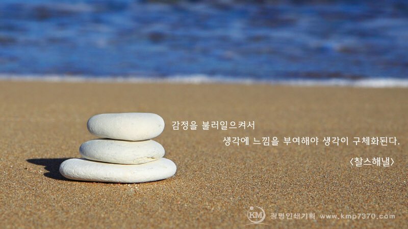 감정을 불러일으켜서 생각에 느낌을 부여해야 생각이 구체화 된다. <#찰스해낼>

<#광명인쇄기획 #명언 시리즈1>