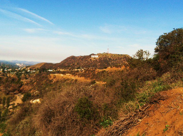 ChopHouseSurf's tweet photo. What's Going on Behind the Hollywood Sign?!
Peacocks? Shirtless Tom Cruise? Hike it yourself to explore its goodies! https://t.co/oh95ET3dCX