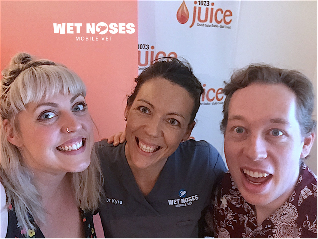 Dr Kyra had another fun morning with Gosha &amp; Michael on <a href="/juice1073/">Juice1073</a> Breakfast Show talking all this pets! #petcare