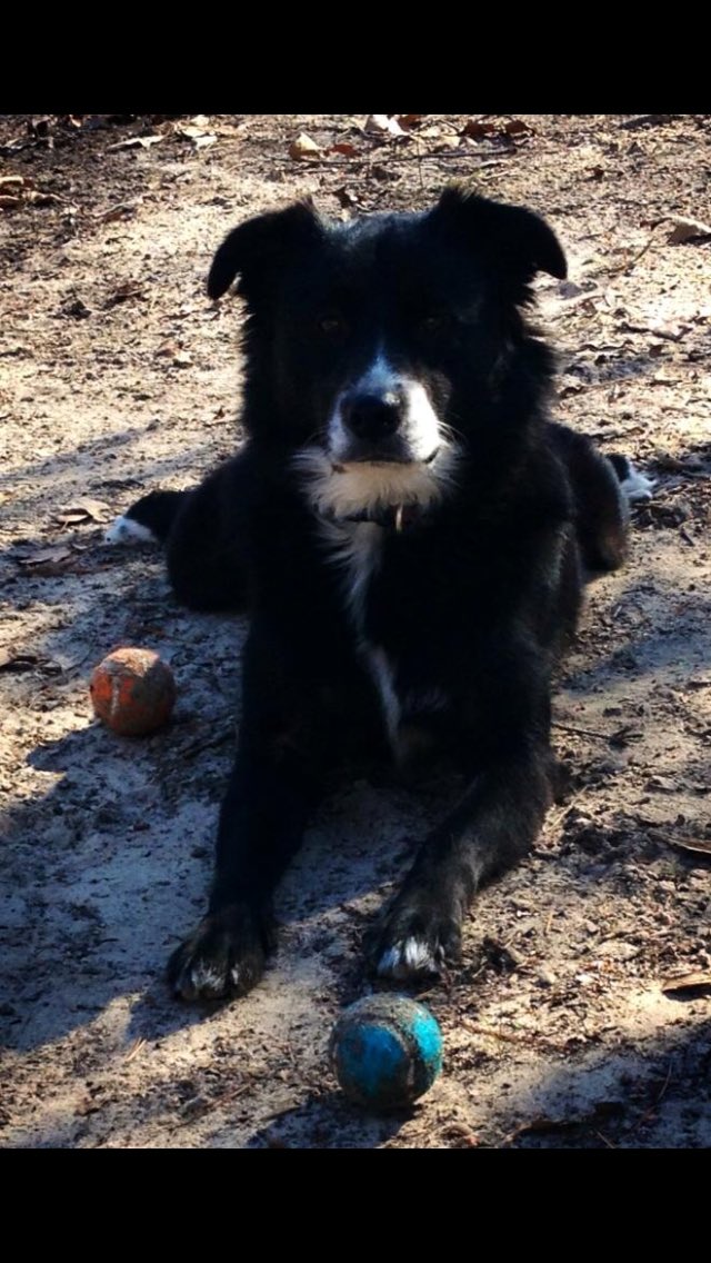 JenniferNeff7's tweet photo. @USA_Network #WKCSELFIESWEEPSTAKES https://t.co/eXAeWYtjbH