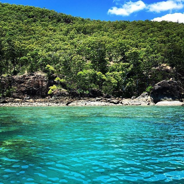 SeaLifeProject's tweet image. Snorkelling anyone? Ravens Cove, Hook Island. #Ravenscove #hookisland #whitsunday #whitsun… bit.ly/1U4IcQS