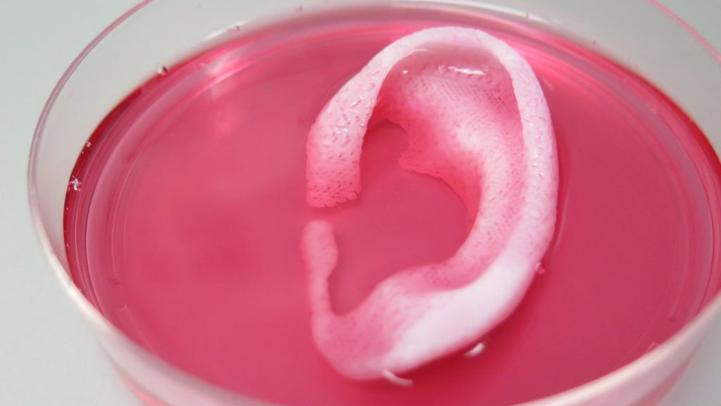 Doctors 3D-print 'living' body parts bbc.in/20Af4AN