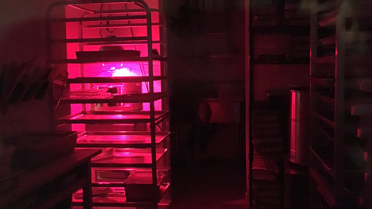 PalettedeBine's tweet photo. Thru the night test batch #cacaoverapaz #Guatemala is running 🛌🌌🌨💤🍫 https://t.co/tLWXLOytY0