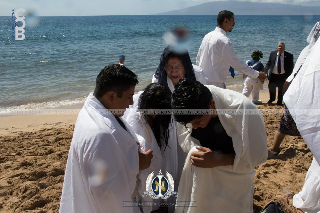 BereaInter's tweet photo. Presentación Apostólica en Maui, Hawái, USA

14 de Febrero 2016

#LdmBautismos
#SoyLuzdelMundo
#BereaInternacional https://t.co/fTXUz0ceaT