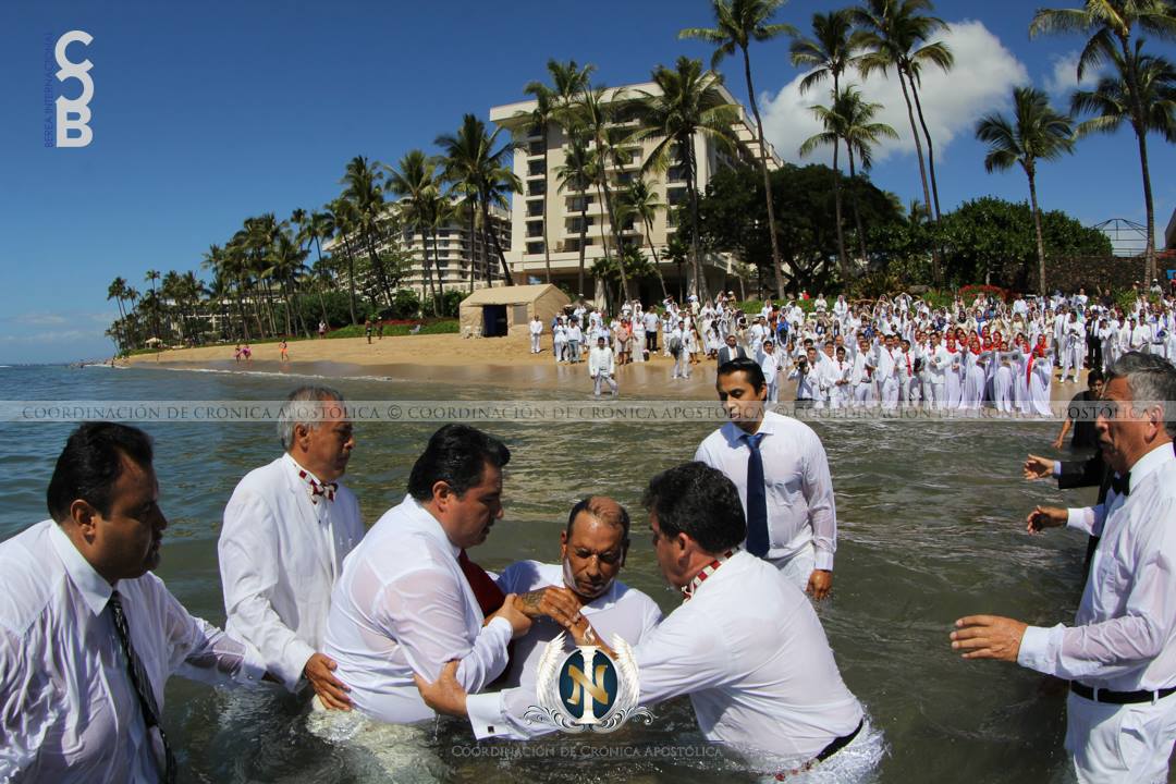 BereaInter's tweet photo. Presentación Apostólica en Maui, Hawái, USA

14 de Febrero 2016

#LdmBautismos
#SoyLuzdelMundo
#BereaInternacional https://t.co/TW31TRgRfV