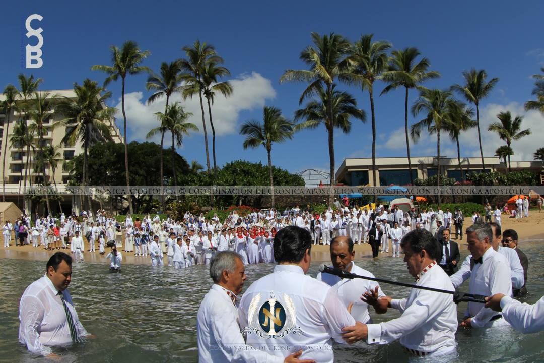 BereaInter's tweet photo. Presentación Apostólica en Maui, Hawái, USA

14 de Febrero 2016

#LdmBautismos
#SoyLuzdelMundo
#BereaInternacional https://t.co/VTC5KqbcZh