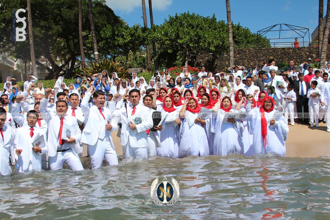 BereaInter's tweet photo. Presentación Apostólica en Maui, Hawái, USA

14 de Febrero 2016

#LdmBautismos
#SoyLuzdelMundo
#BereaInternacional https://t.co/VTC5KqbcZh