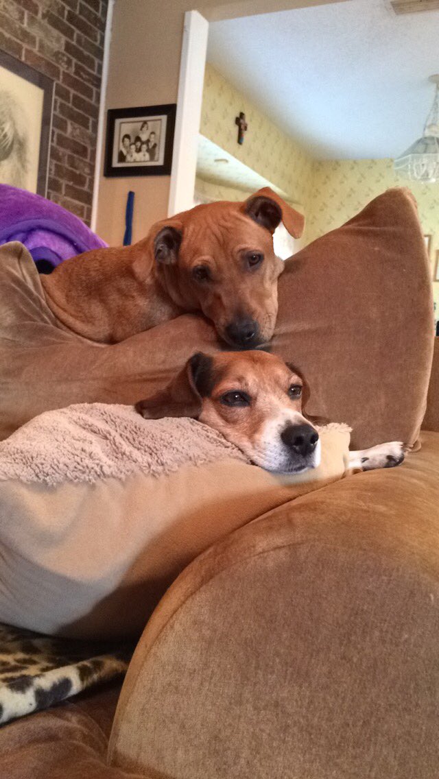 dougydfresh's tweet photo. #WKCSELFIESWEEPSTAKES https://t.co/axDjNfIkn5