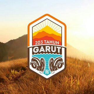 Rispan16's tweet photo. Dirgahayu Garut yg ke 203 @infogarsela @infogarut https://t.co/5dZhriByJl