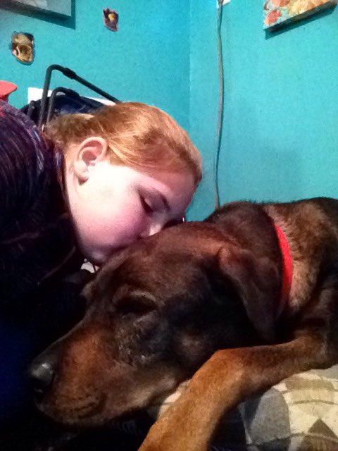 TracyAnnRobert3's tweet photo. #WKCSELFIESWEEPSTAKES #WKCDogShow #Best show on tonight https://t.co/35oJyYT8MO