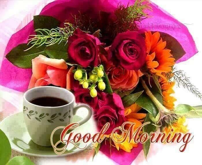 chandro810 tweet picture