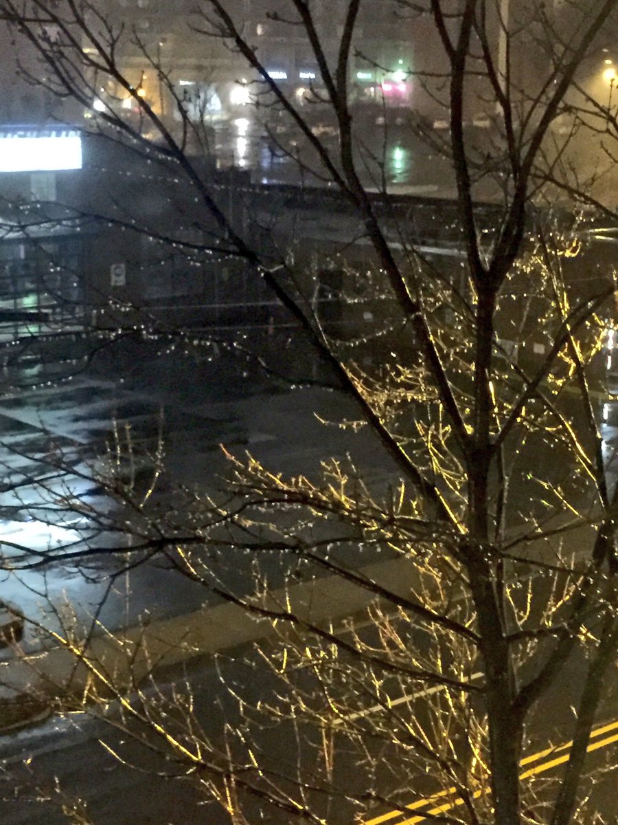 Livin_Lively17's tweet photo. Here's an ice picture for you @JohnAhrensWSOC9, outside my window. Glad warmer temps are coming! #CLTice #cltwx https://t.co/gpIupXSFIm