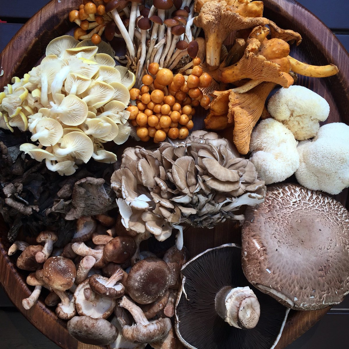 started foraging further up north. northern Californians know their shrooms. #farmdirect #fungi