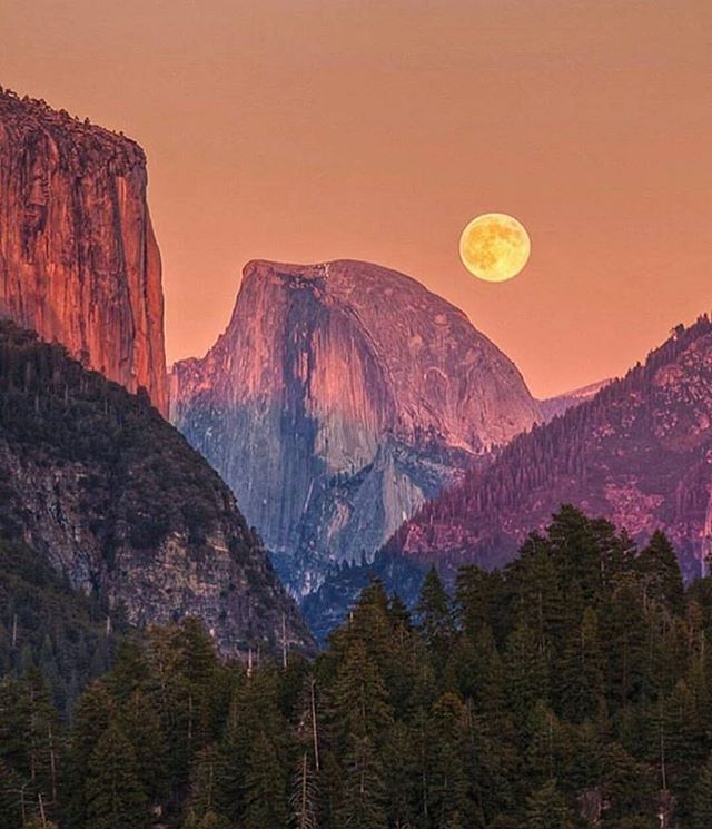 alisalisopes's tweet photo. @Reverend_Kelly @Natusik16 @NatashaOwnfan @LucianaPatrizia @msplatinumluv @ChosenLady4God @RealValChandler https://t.co/cynJZsQPpa