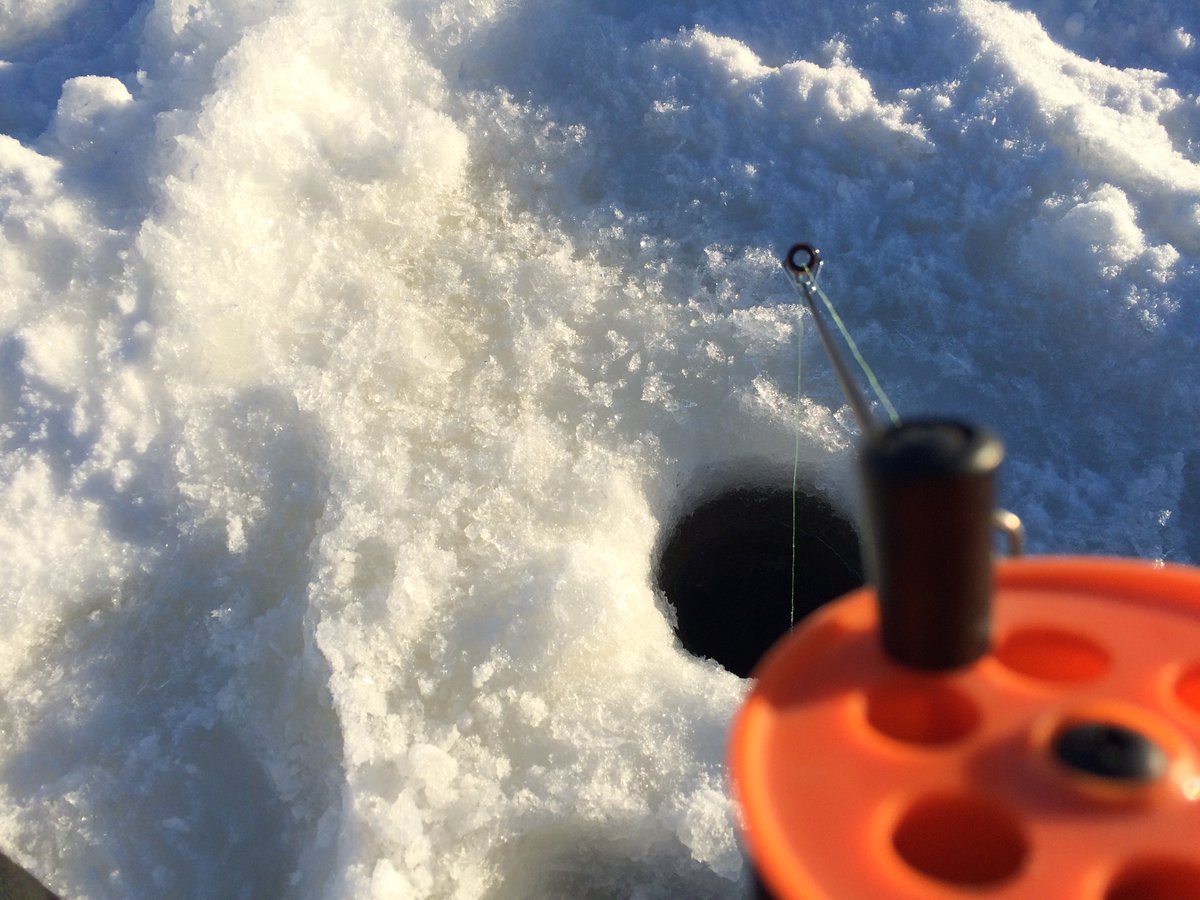 P4vn's tweet photo. Nu i P4: Från maggot till färdig lunch. #pimpla #vinterfiske https://t.co/DvABLhlBkx @basternorrland https://t.co/D8bEkTbWz2