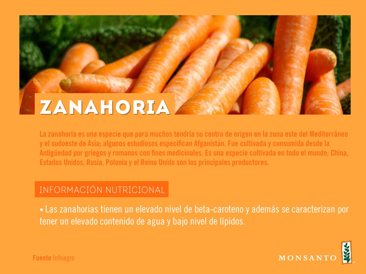 #AlimentoDelMes: La zanahoria. ¿Sabías todo esto de ellas?