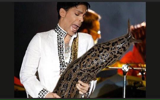 lucasiswack's tweet photo. Just think wow. If we replaced guitars with slugs wow just wow #newdayrenewables #sustainableprince #sos110 https://t.co/u5jj14Z0lS