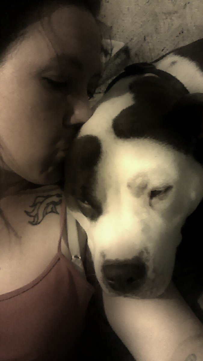 BriehartmanStar's tweet photo. #kissapittbull #pittbullsarelove #nannydog #dontmesswithmybreed https://t.co/E1UlLBUpK4
