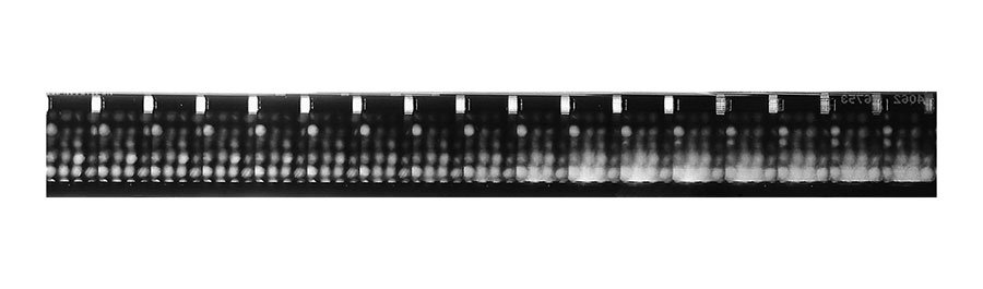 tmSF2016's tweet image. BEIGE will be performing The Impertinent Thief @tmSF2016 2/18 @somarts timelessmotion.org/beige.html