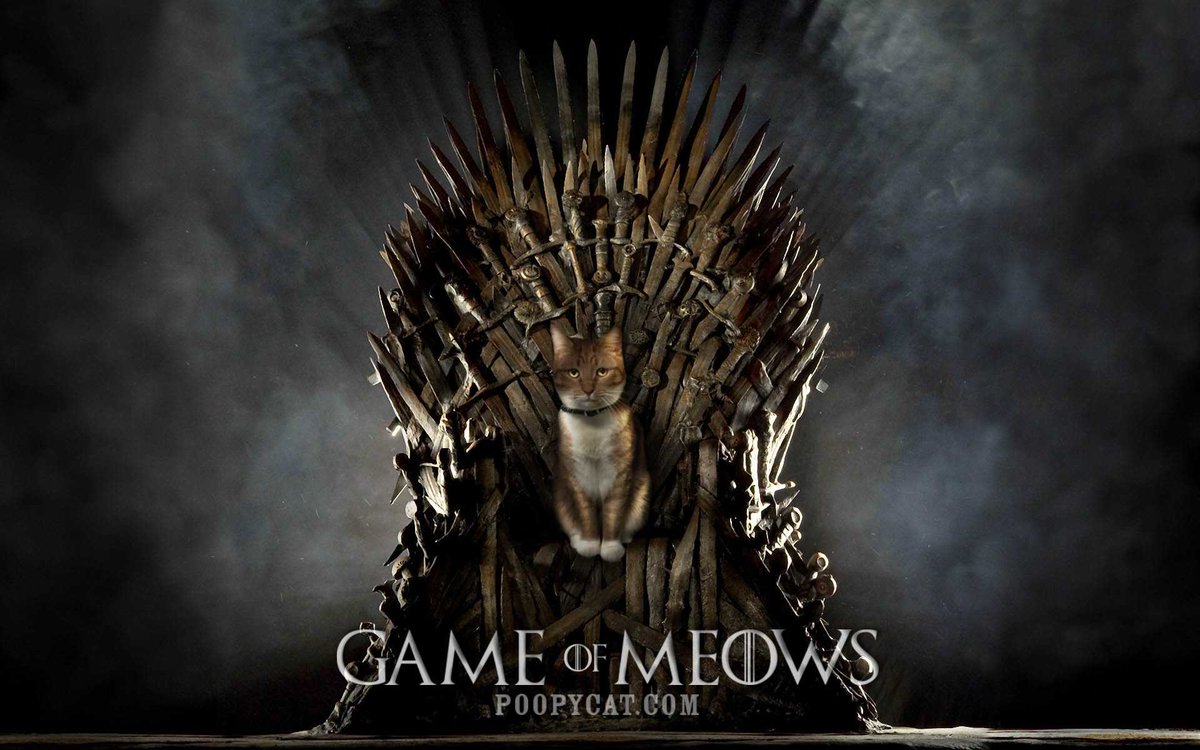 iron throne cat