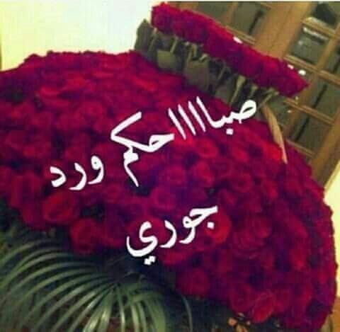 ☆(جمانه ☆علي☆)ٌ (@9f8dca2511a7468) on Twitter photo 