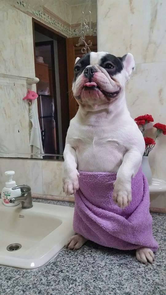 Good morning.<a href="/JenaC2/">Jena C.</a> <a href="/adaliadnan/">adnan adalı</a>  <a href="/pintsize73/">Marie</a> <a href="/MATIASM97027089/">MATIAS MARTINEZ</a> @TIINA1S <a href="/newworlddd555/">Köksal Akın</a> <a href="/im461/">Jerry</a>  <a href="/GrazkaNie/">Grażyna🇵🇱</a> <a href="/Yaky549/">Oriana Fernandez 🌸</a>