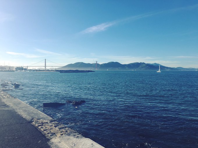 #SanFrancisco was beautifulll, hope everyone had a lovely Valentines Day ❤️ https://t.co/TKsNIO6ICf<a href="/tag/sanfrancisco"class="tags">#SanFrancisco</a>