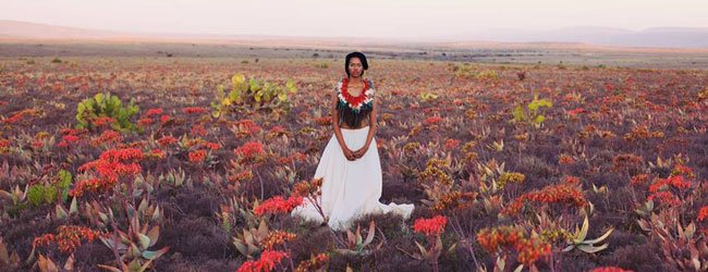 See incredible art using mohair at the <a href="/mohairSA/">Mohair</a> Design Showcase. 
bit.ly/1RIpfCW