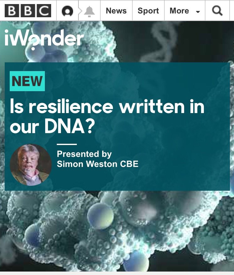 Very excited to see <a href="/littledotstudio/">Little Dot Studios</a>'s first BBC iWonder guide go live bbc.co.uk/guides/z2qxfrd