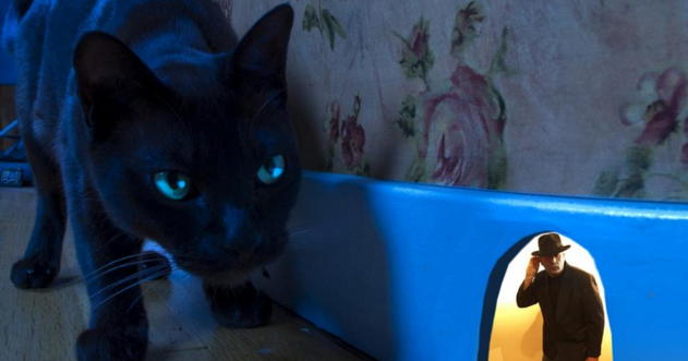 Nove sogni ricorrenti interpretati da uno psicologo linkiesta.it/it/article/201…