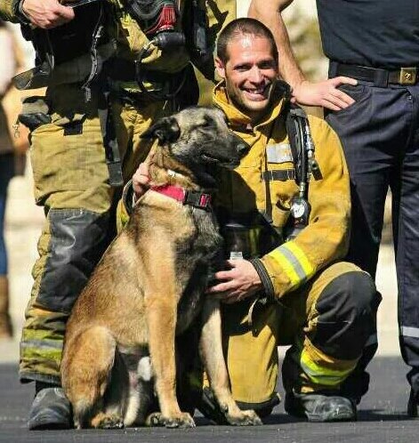 SECrim_'s tweet image. #Bomberos Titan y Sergio, estarán en el I CONGRESO PROTECCIÓN ANIMAL-#VILLENA Inscripción: goo.gl/QYxMJh