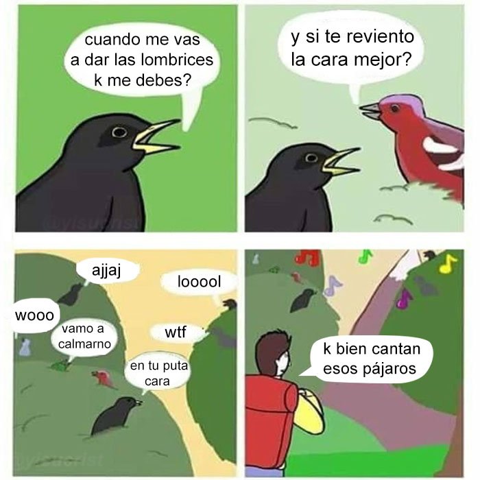 jezucrihto xd tweet media