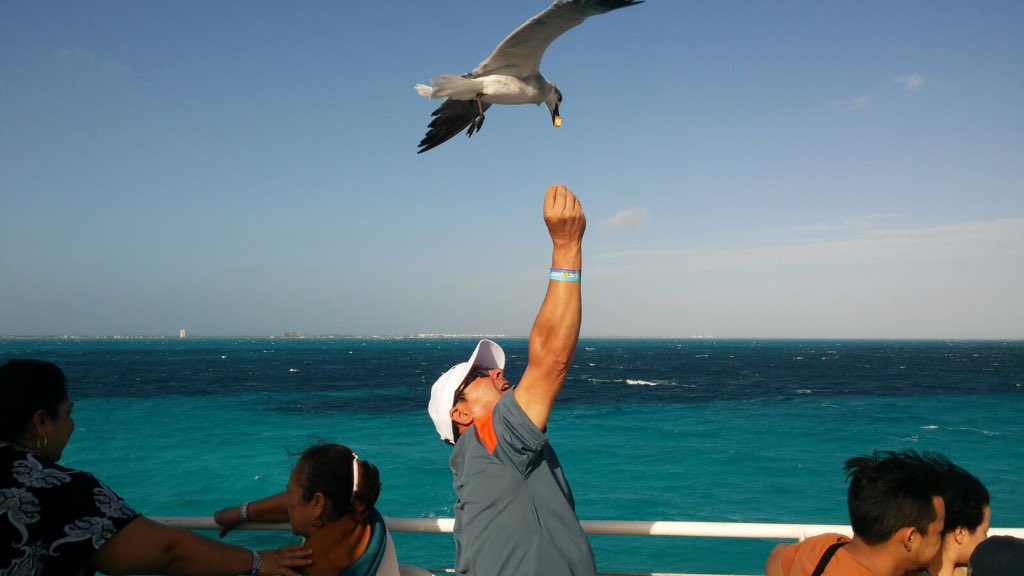PchavesChaves's tweet photo. Isla Mujeres y Puerto Morelos https://t.co/C0XdJ0DCMT