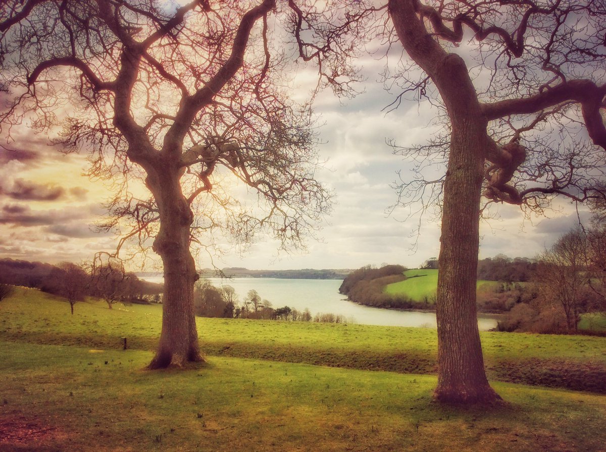 johngollop's tweet photo. Trellissick #photography #Cornwall @NTSouthWest @NTTrelissick @beauty_cornwall https://t.co/5Iv23hMMTZ