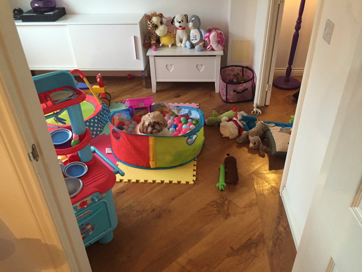 chrismccork's tweet photo. #dugslife https://t.co/tlt10vVIaR