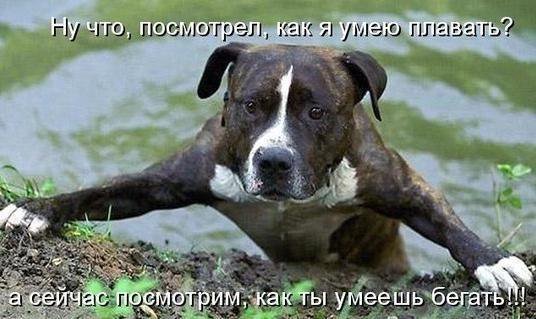 dY4G214GkSHuYYV's tweet photo. https://t.co/TOy0EgP9Gt