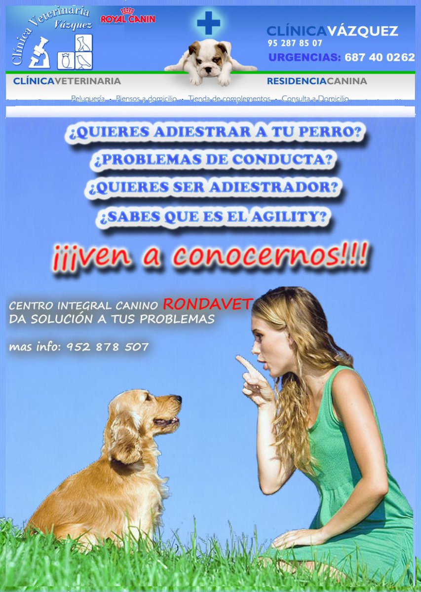 clinicavetvazqu's tweet image. Adiestra a tu perro con los mejores profesionales y al mejor precio¡