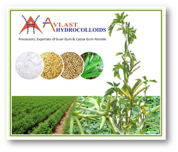 Hydrocolloids's tweet photo. Guar Gum #Market Is #Expected To #Expand By $10 #Billion By 2020 https://t.co/YziGrkjeB5

#GuarGumMarketIndia https://t.co/4HyzQKvelC
