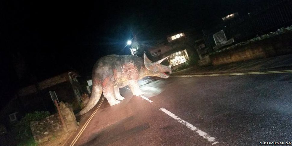 BBCNews's tweet image. "Drink probably involved" in triceratops abduction on Isle of Wight bbc.in/1PYpIzZ