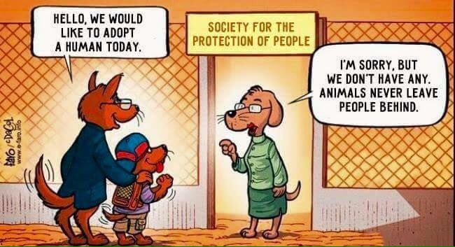 SoulSeekerJoe's tweet photo. https://t.co/ny7vpj2wDg