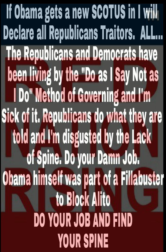 RNRIllinois's tweet image. I will be absolutely done with the Republican Party if they Allow Obama to choose another #SCOTUS #RedNationRising