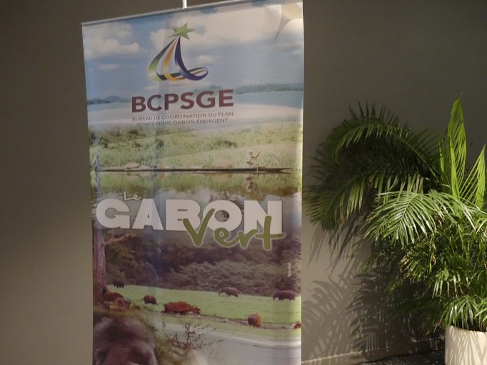 GabonDirect's tweet photo. Journée du Gabon Vert ce matin au Radisson en présence du Premier Ministre Daniel ONA ONDO organisée par @BCPSGE https://t.co/ht9Mql6pII